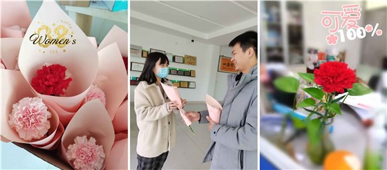 新澳2025澳门历史记录查询免费15
