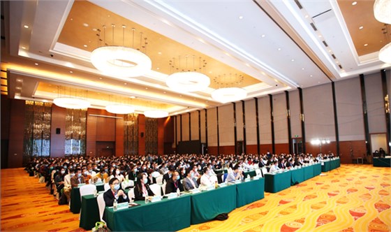 新澳2025澳门历史记录查询免费15
