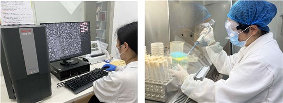 新澳2025澳门历史记录查询免费15