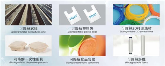 新澳2025澳门历史记录查询免费15