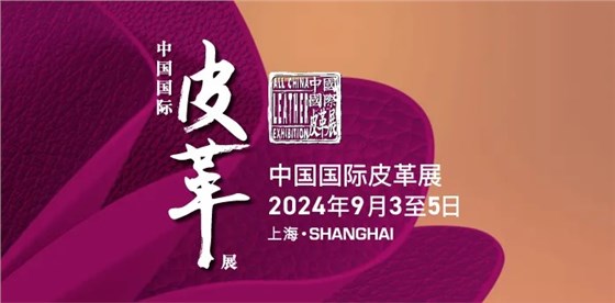 新澳2025澳门历史记录查询免费15