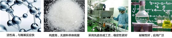 新澳2025澳门历史记录查询免费15