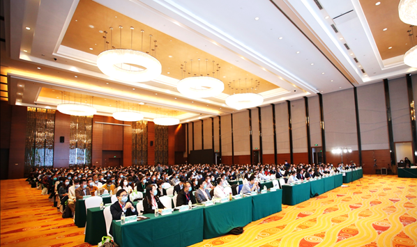 新澳2025澳门历史记录查询免费15