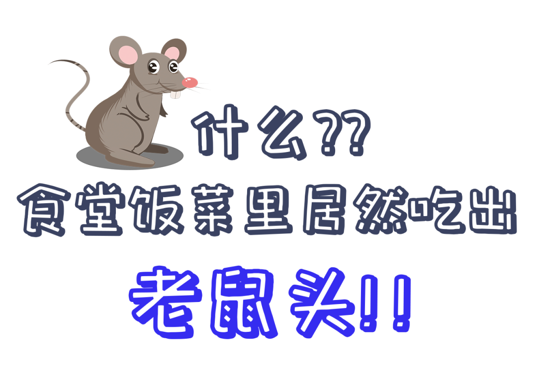 1 新澳2024澳门历史记录查询免费15