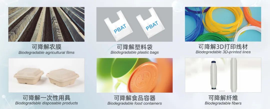 新澳2025澳门历史记录查询免费15